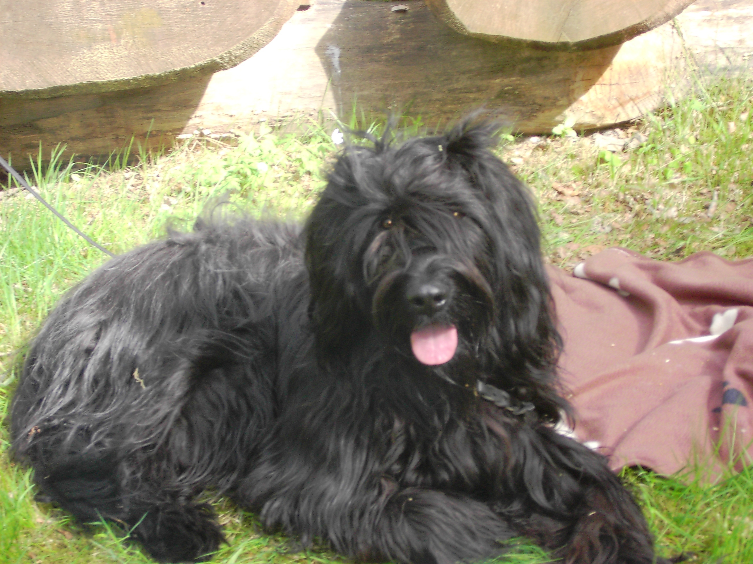 Lufsen